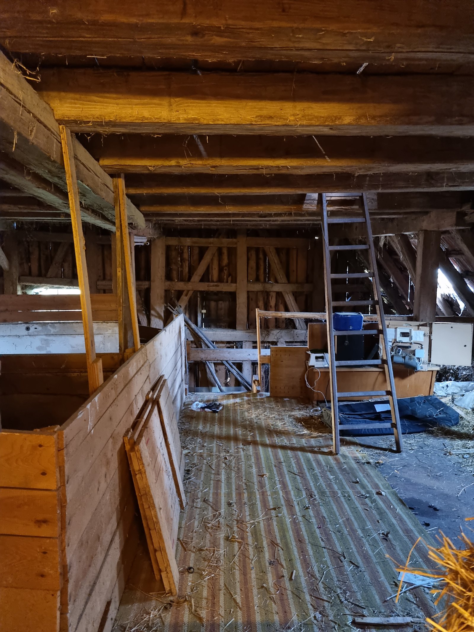  "Schnäppchenpreis"  renovierungsbedürftiges Haus auf einem schönen großem Grundstück