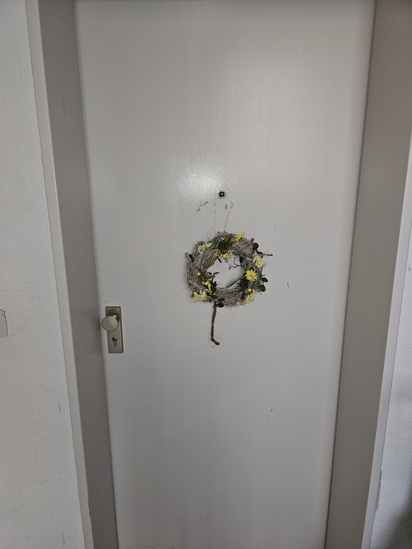 2 Zimmer in exklusiver Qualität in Nordstadt